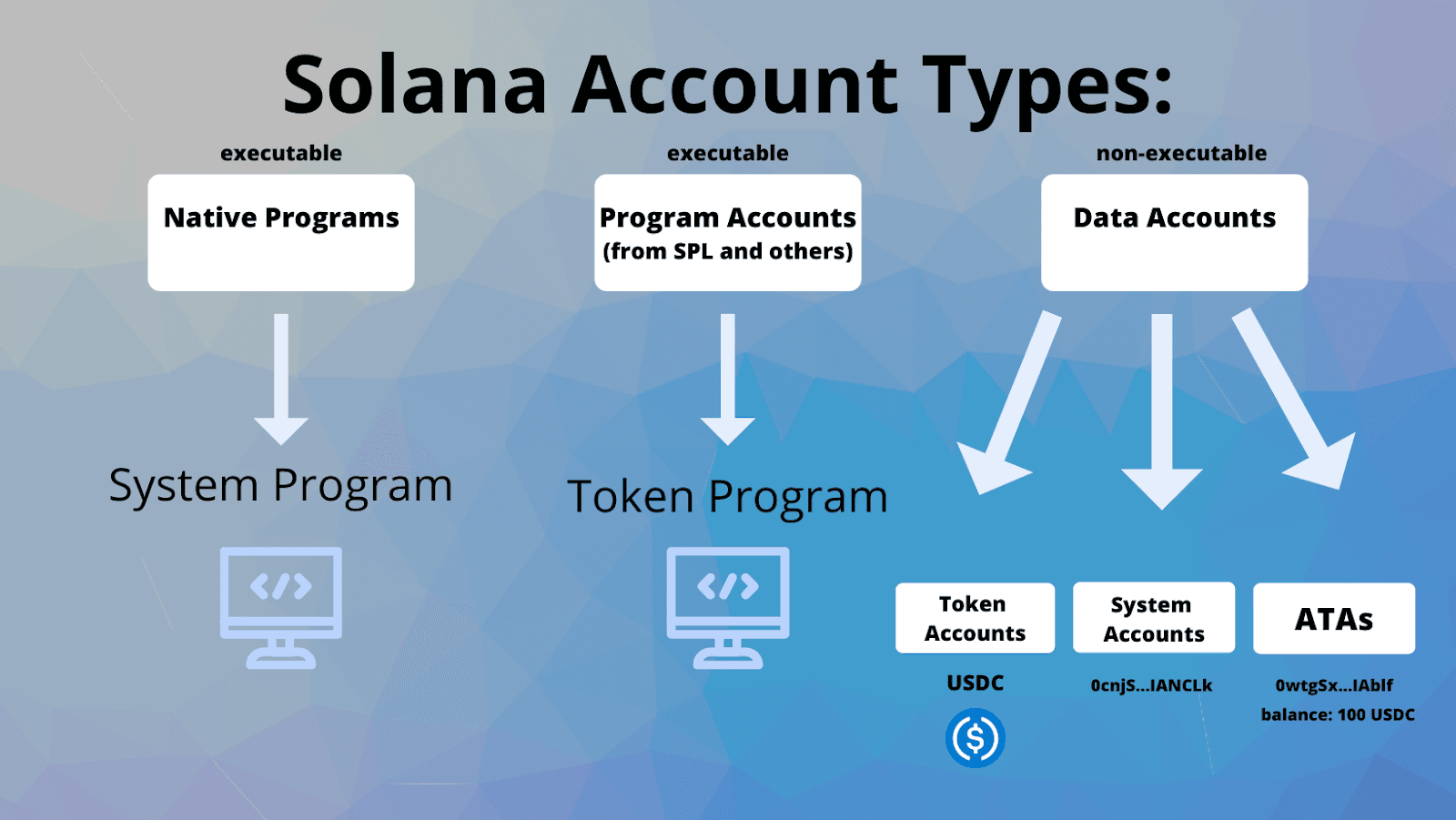 Diagram of Solana account categories: native programs, program accounts, and data accounts