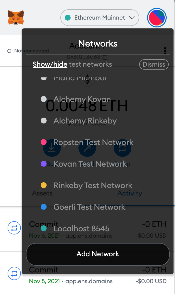 Screenshot of Metamask Wallet showing the available networks for connection
