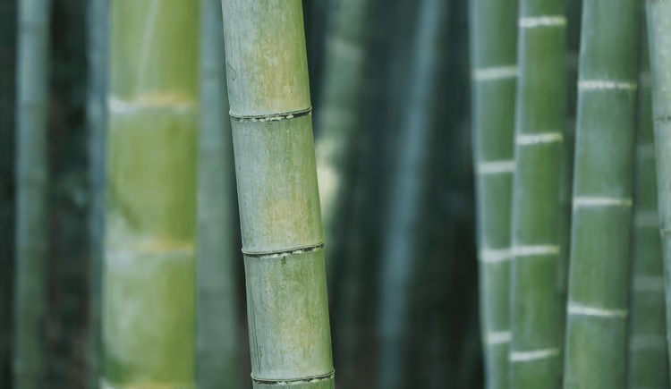 Bamboo Relay needed dependable infrastructure so engineers could sleep at night