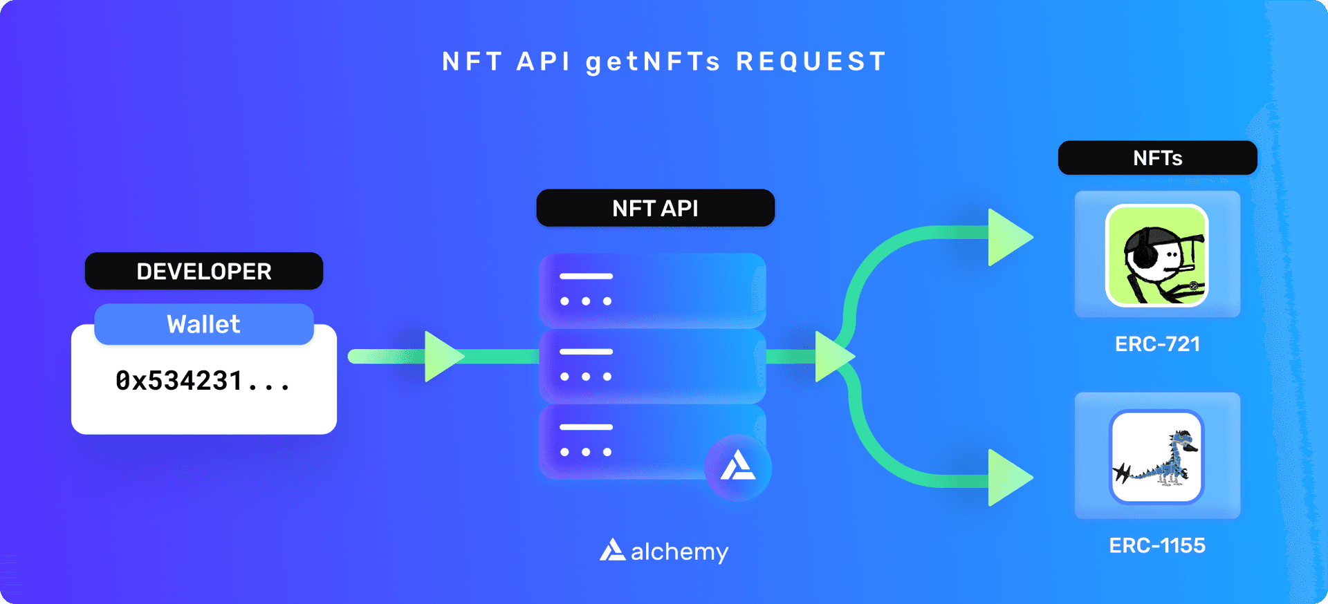 An example of the NFT API returning requested data, based on wallet address